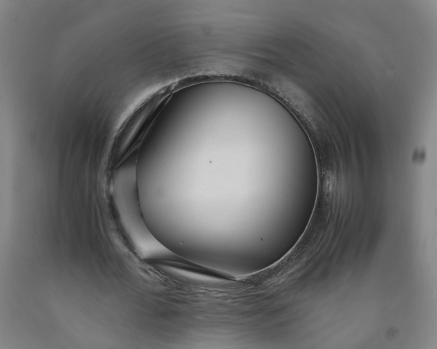 X0000091980676200709271427