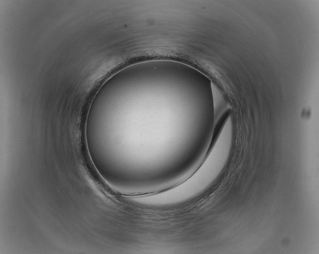 X0000091980677200709271427