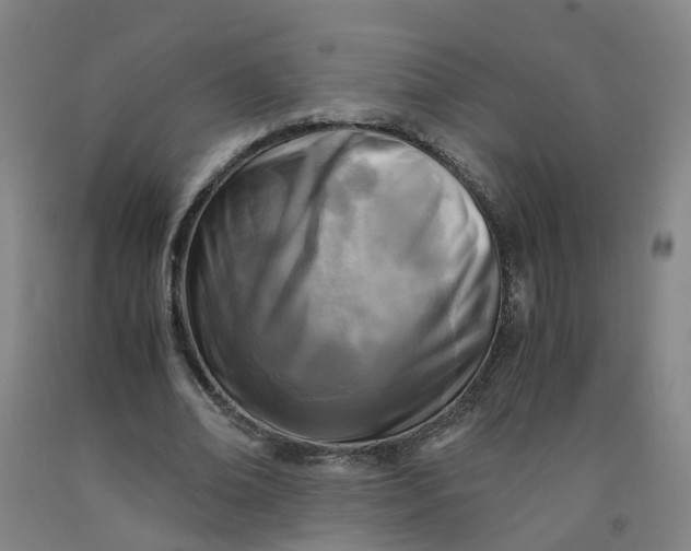 X0000091980678200709271427