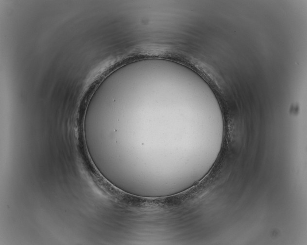 X0000091980682200709271427