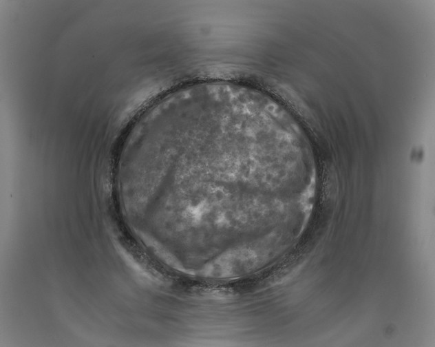 X0000091980683200709271427
