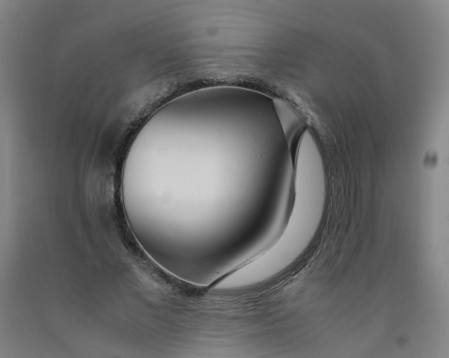 X0000091980685200709271427