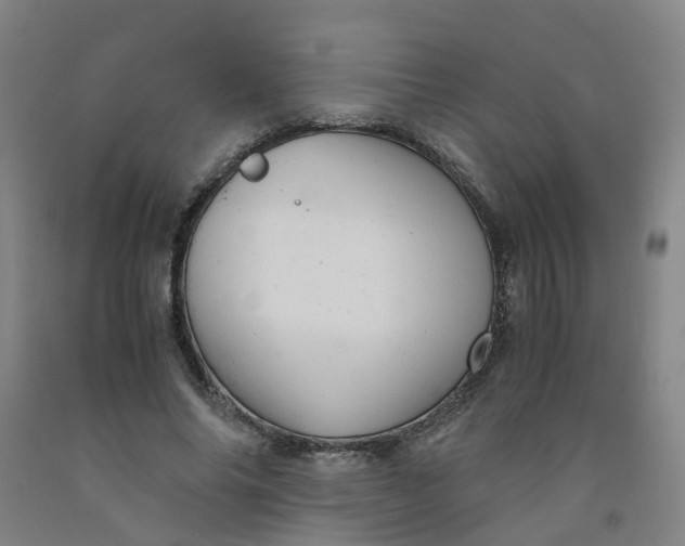 X0000091980686200709271427