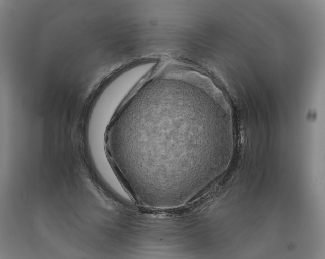 X0000091980688200709271427