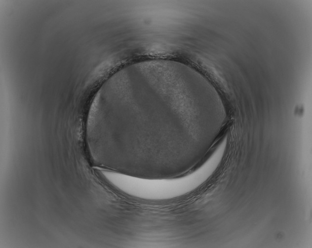 X0000091980689200709271427