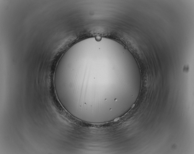 X0000091980690200709271427