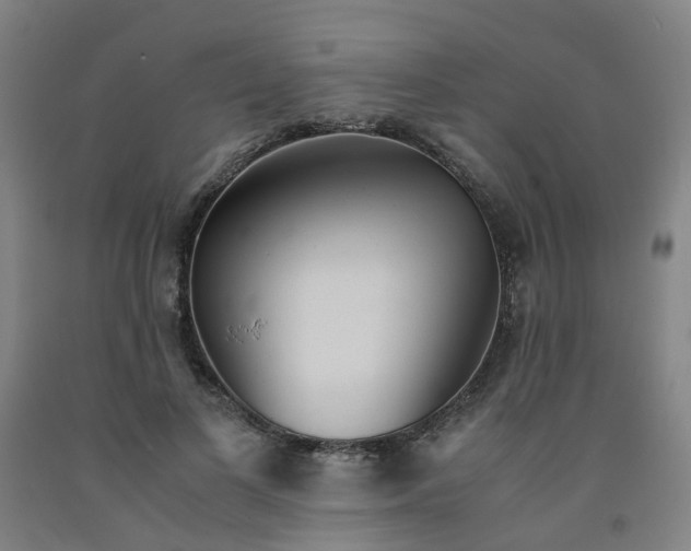 X0000091980693200709271427