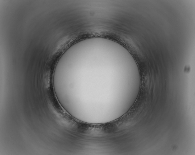 X0000091980694200709271427