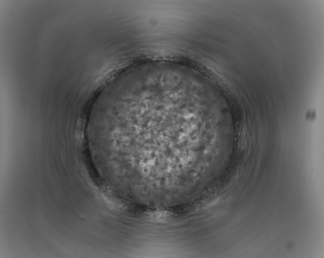 X0000091980695200709271427