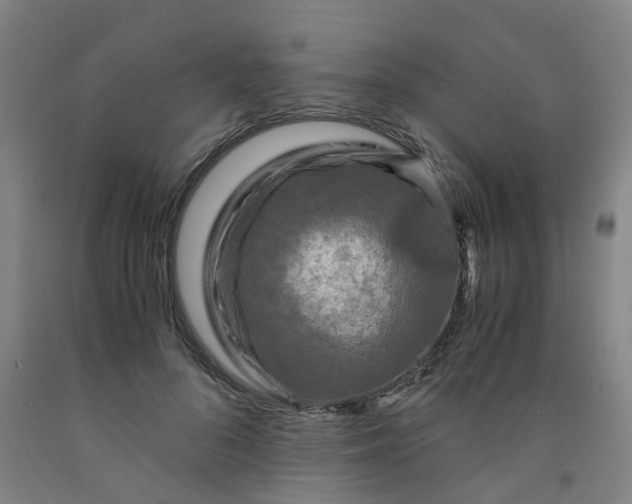 X0000091980696200709271427
