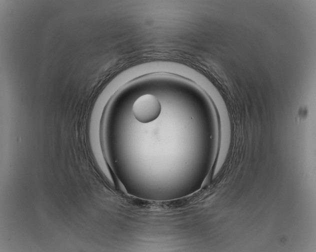 X0000091980697200709271427
