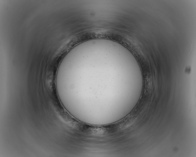 X0000091980698200709271427