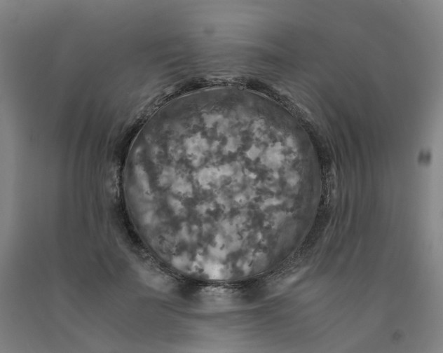 X0000091980699200709271427