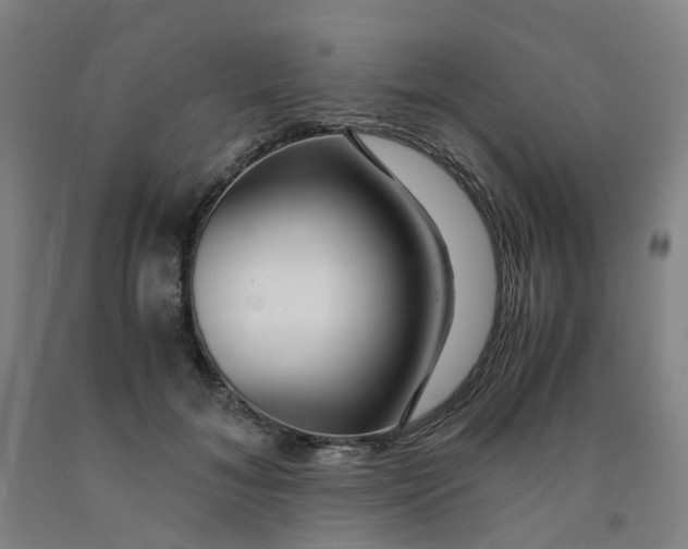 X0000091980700200709271427
