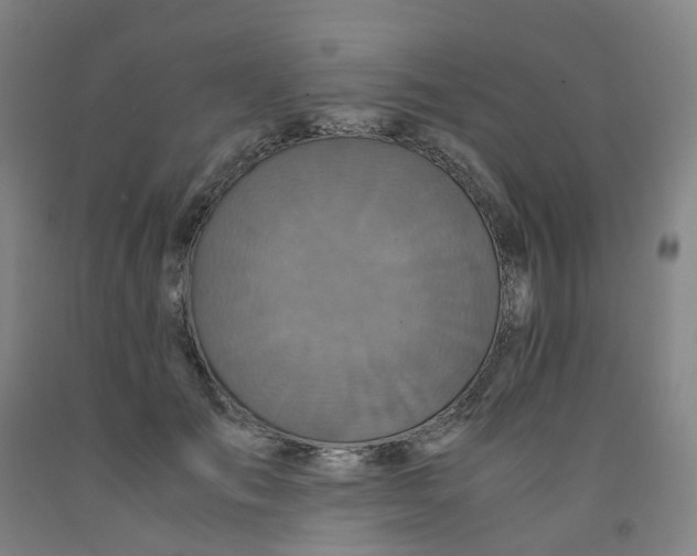 X0000091980701200709271427