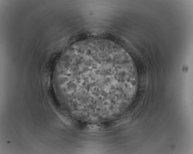 X0000091980703200709271427