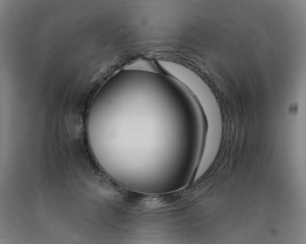 X0000091980704200709271427