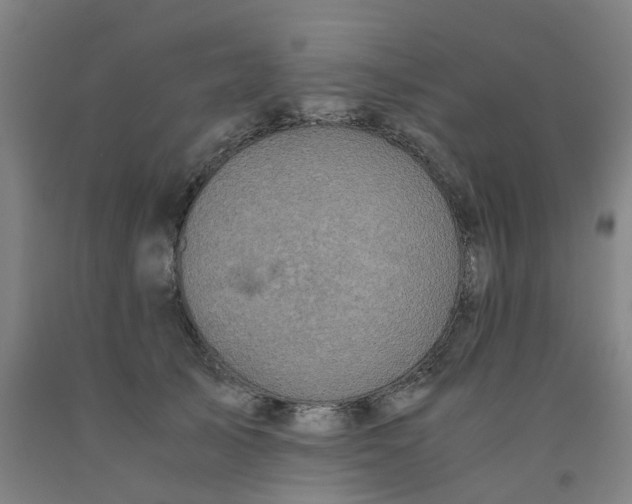 X0000091980705200709271427