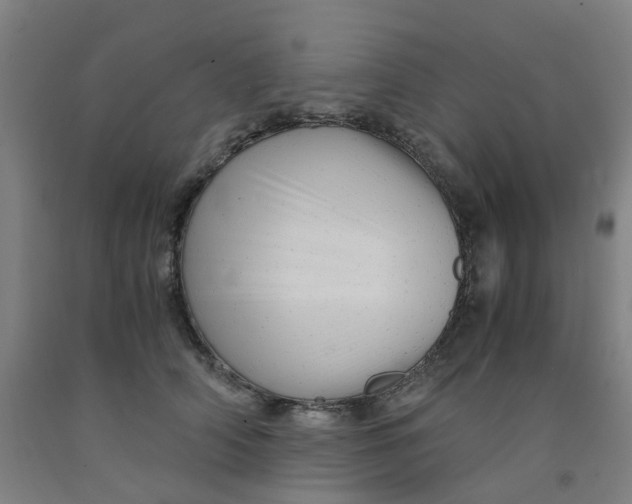 X0000091980706200709271427