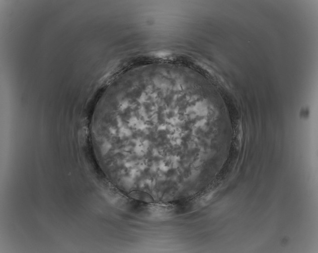 X0000091980707200709271427
