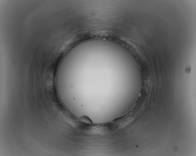 X0000091980708200709271427