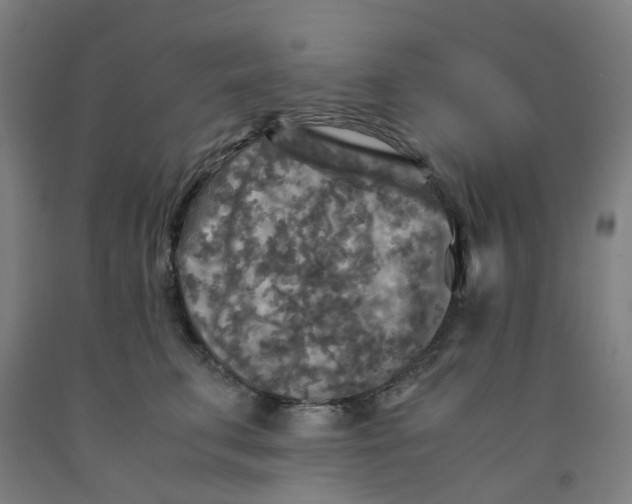 X0000091980711200709271427