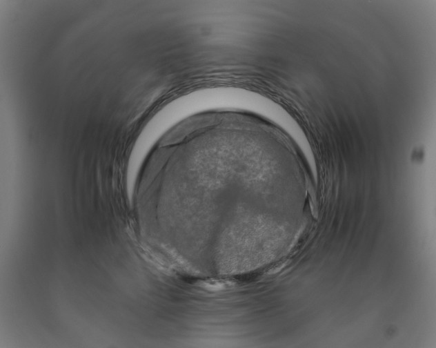 X0000091980712200709271427