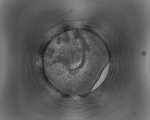 X0000091980715200709271427