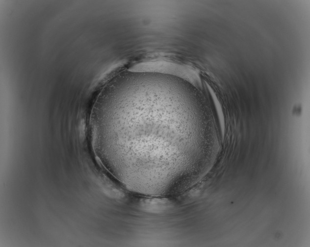 X0000091980716200709271427