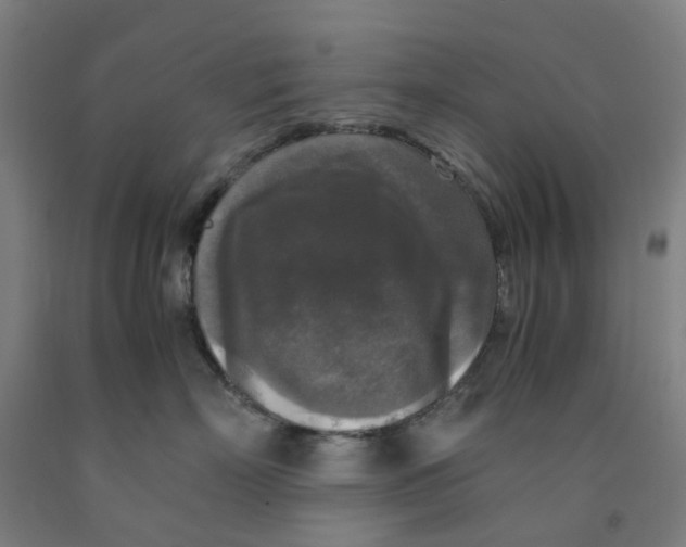 X0000091980718200709271427