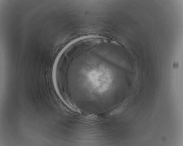 X0000091980720200709271427