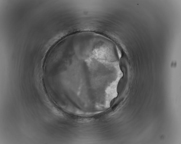 X0000091980721200709271426