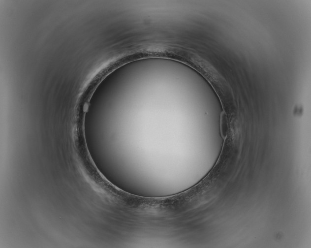 X0000091980728200709271426