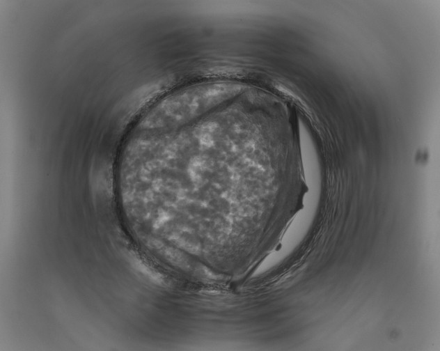 X0000091980729200709271426