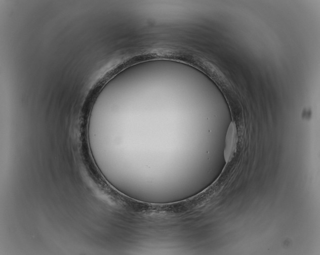 X0000091980730200709271426