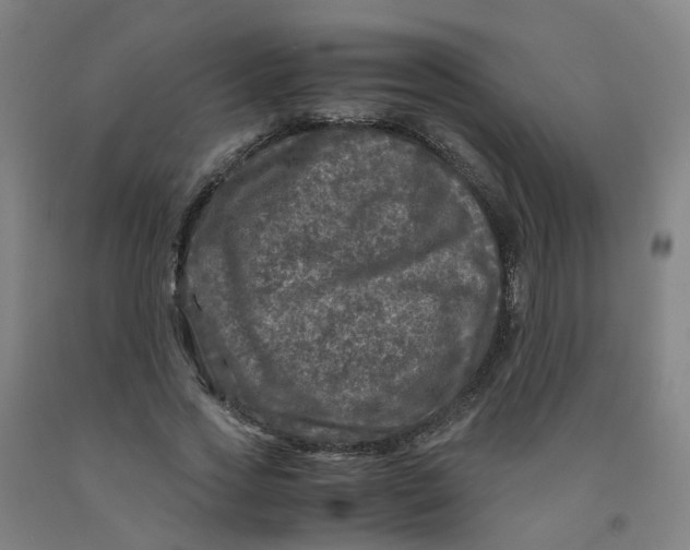 X0000091980733200709271426
