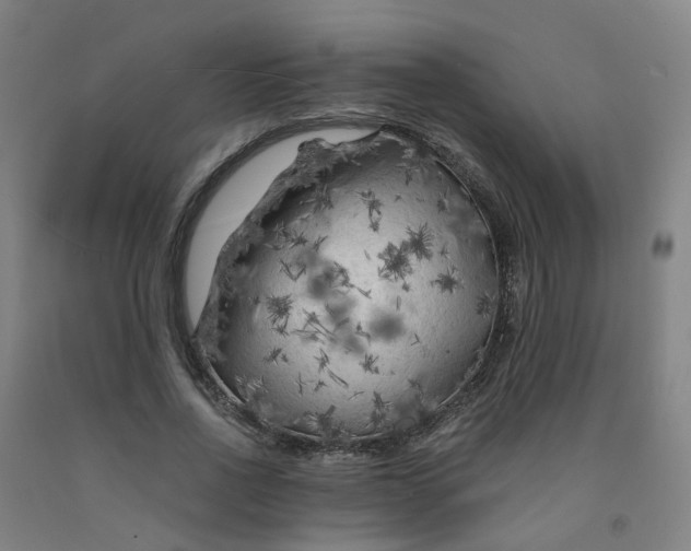 X0000091980734200709271426