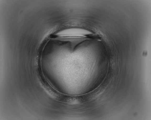 X0000091980735200709271426