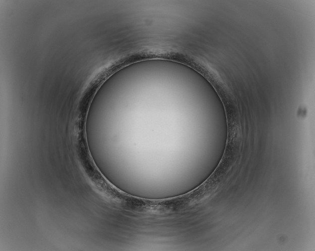 X0000091980736200709271426