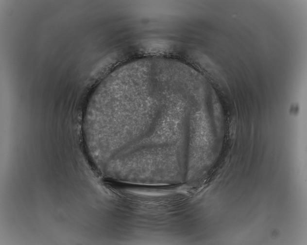 X0000091980737200709271426