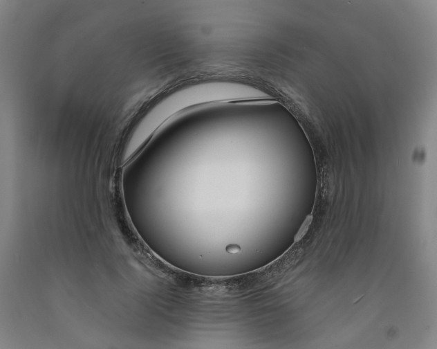 X0000091980740200709271426