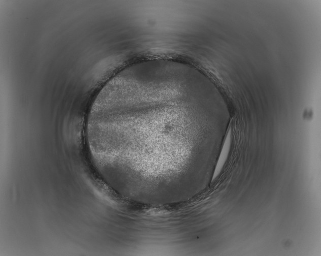 X0000091980742200709271426