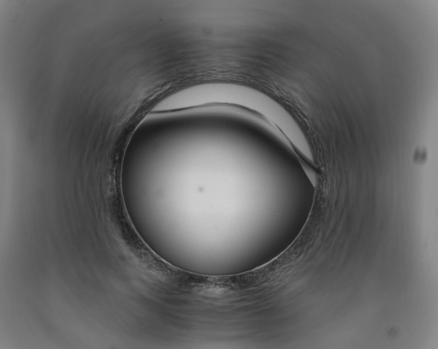 X0000091980743200709271426