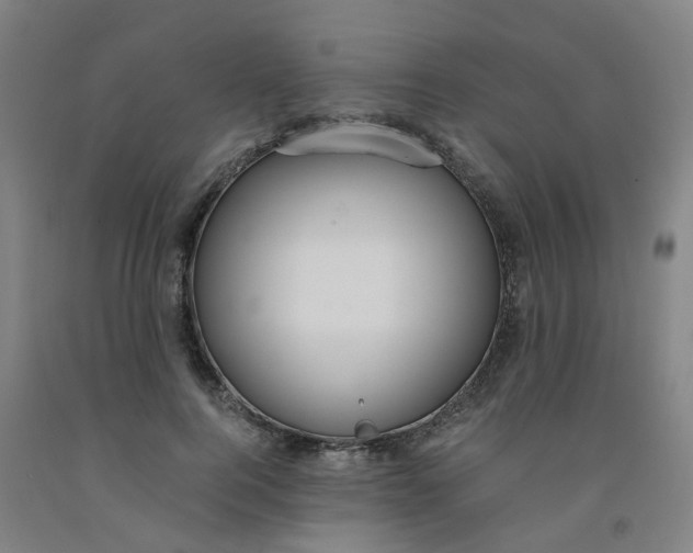 X0000091980744200709271426