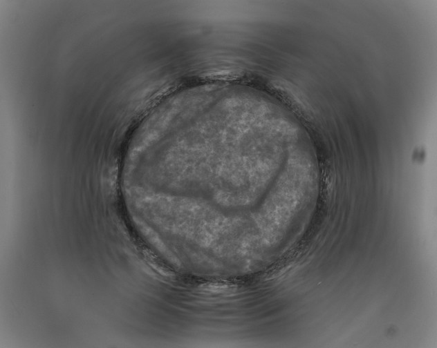X0000091980745200709271426