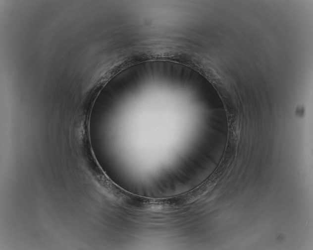 X0000091980746200709271426