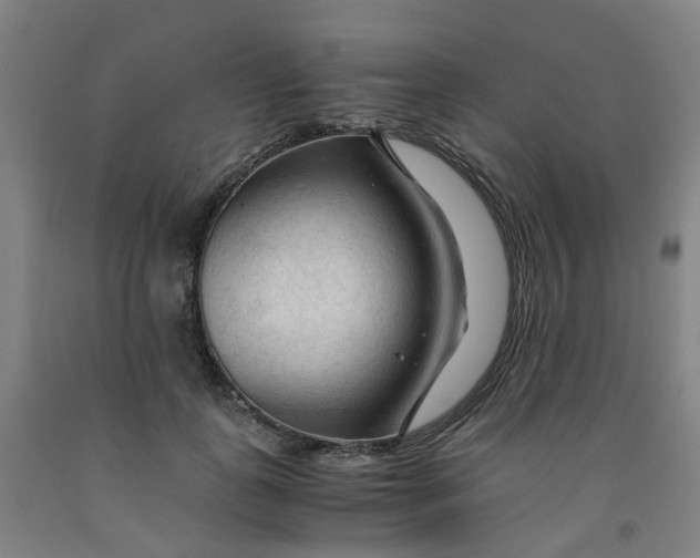 X0000091980747200709271426