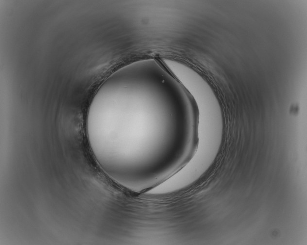X0000091980748200709271426