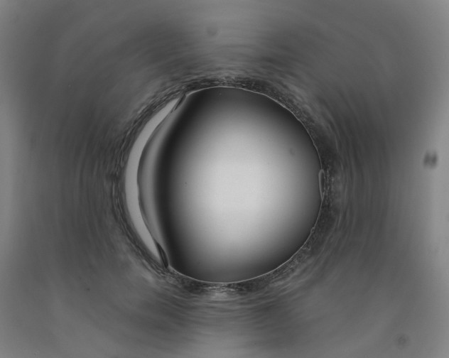 X0000091980750200709271426