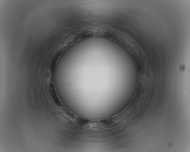 X0000091980752200709271426
